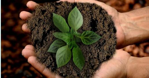 HiggFEM环境评估对纺织原料风险管理评估标准