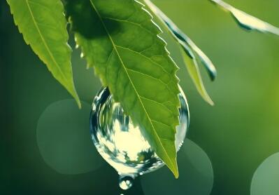 纺织服装原料申报填写完整的HiggFEM分数评估标准