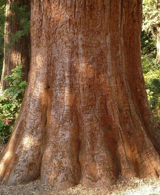 HiggFEM认证对服装生产原料环境绩效的标准方法